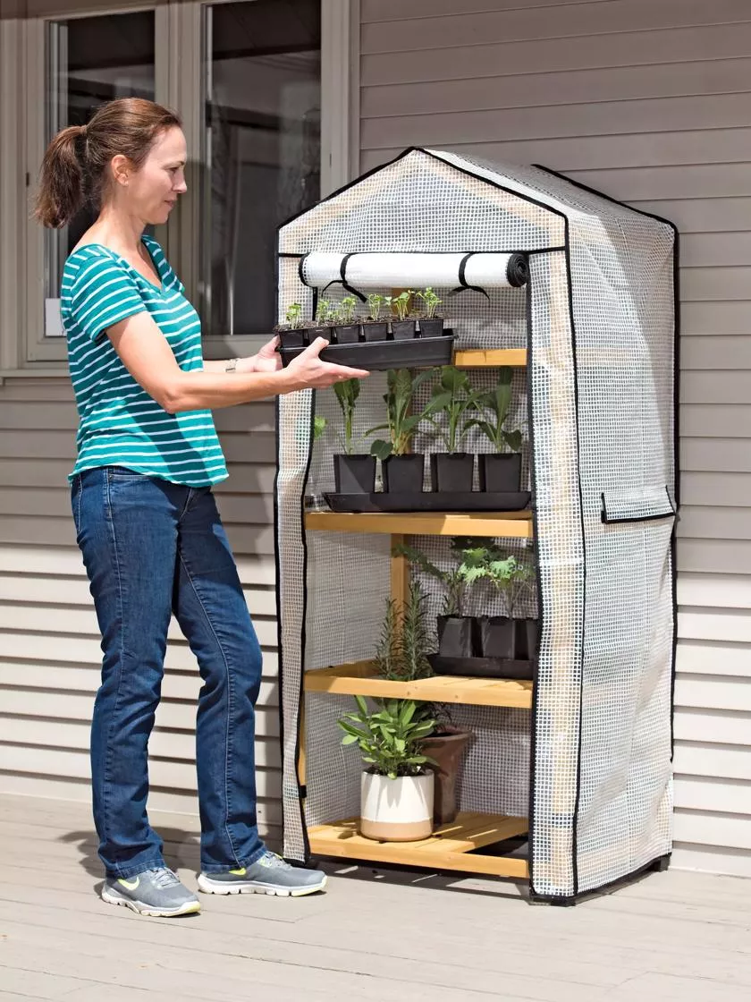 VegTrug Patio Greenhouse