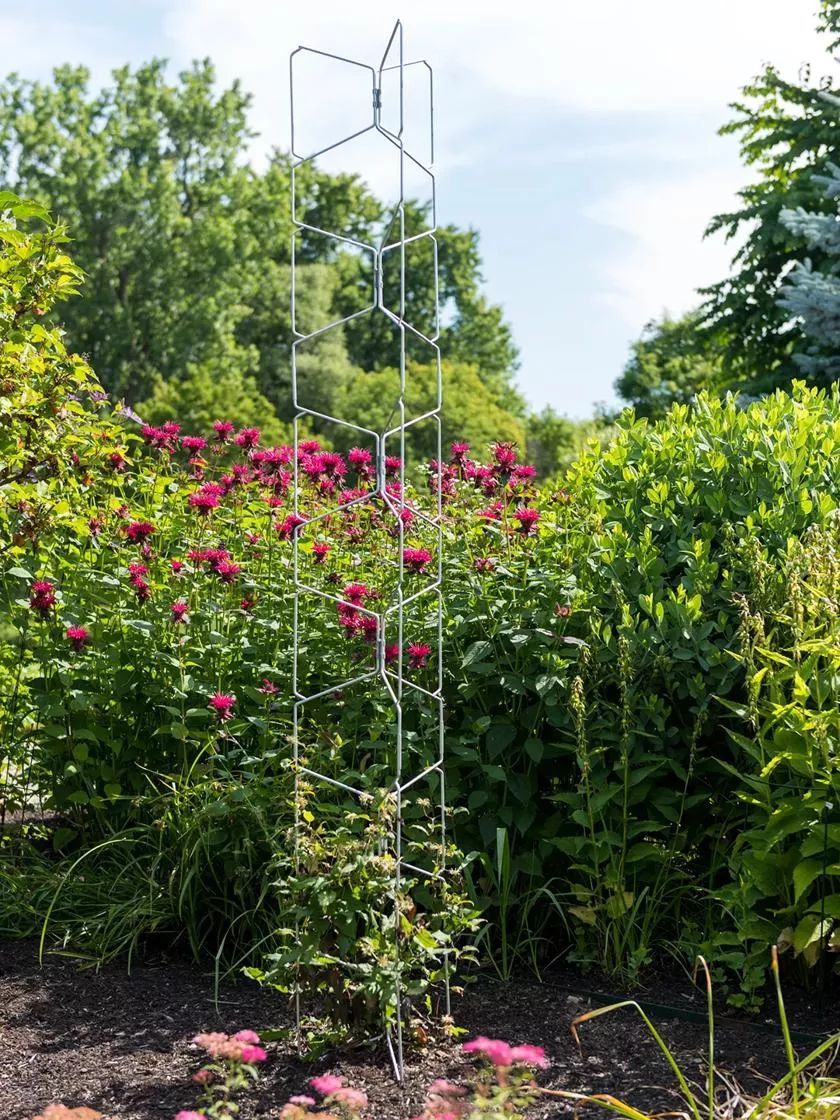 Vertex Universal Tall Tower