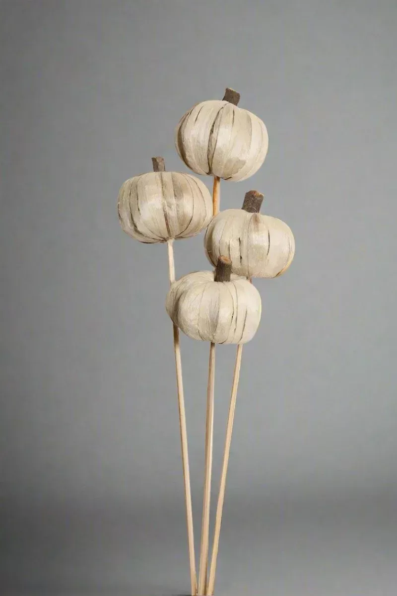 Vyn Dried Pumpkins White (4 Stem)