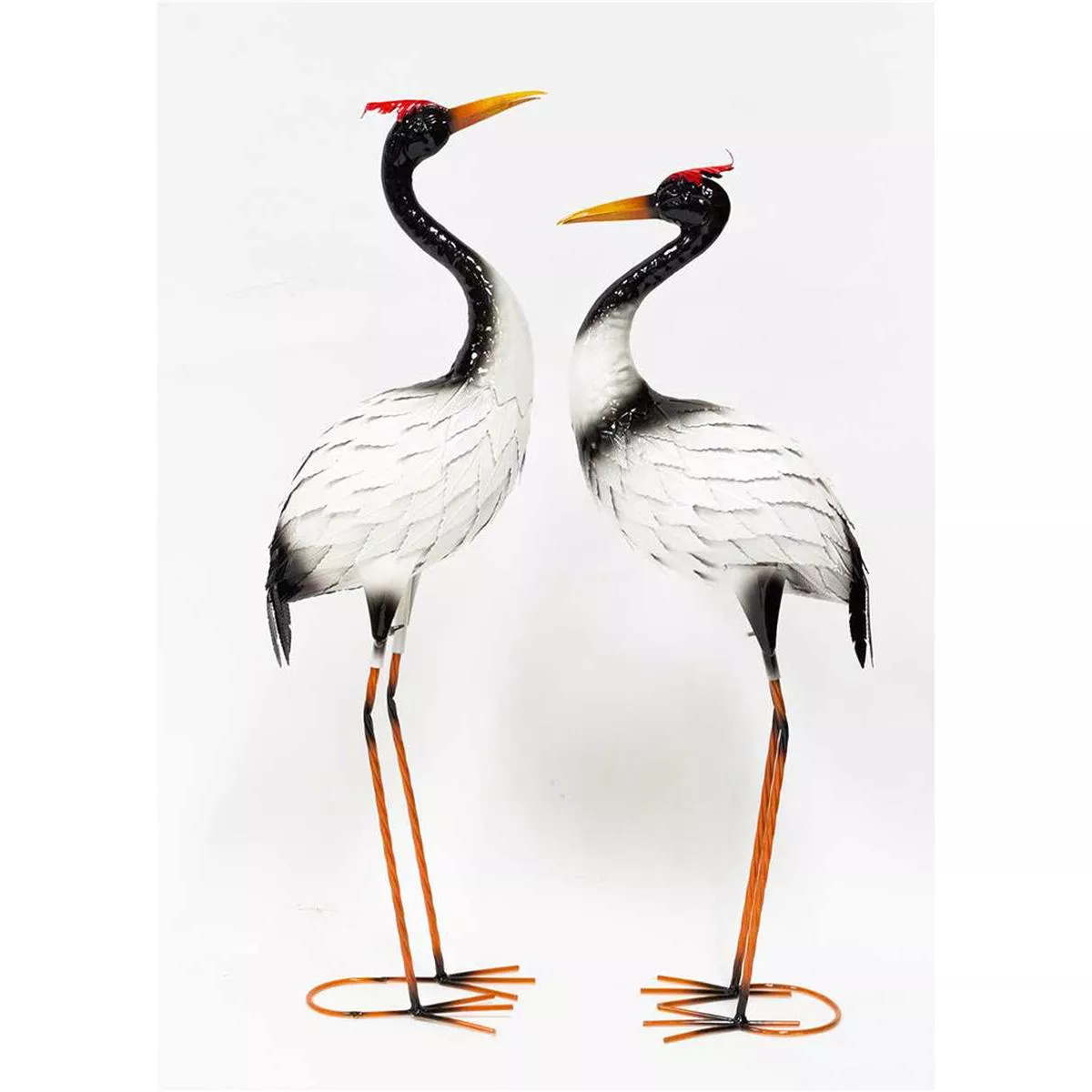 White Black Standing Egret