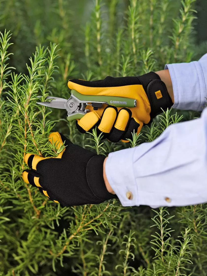 Women’s Gold Leaf Soft Touch™ Gloves