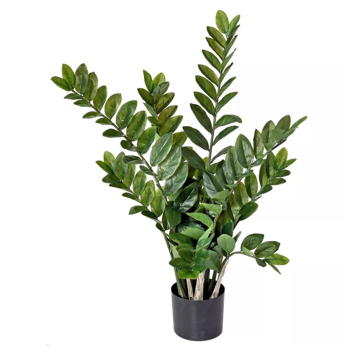 Zamifolia Plant Everlasting 32 ”